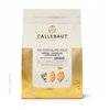 25kg-czekolada-do-lodow-ice-chovolate-gold-359-ice-chocolate-gold-552-callebaut.jpg
