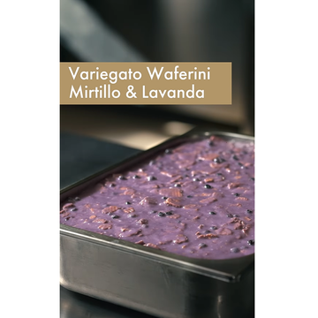 Obrázek 1 produktu Variegato Waferini Mirtillo & Lavanda - sušenky, borůvky a levandule 4x3kg Babbi