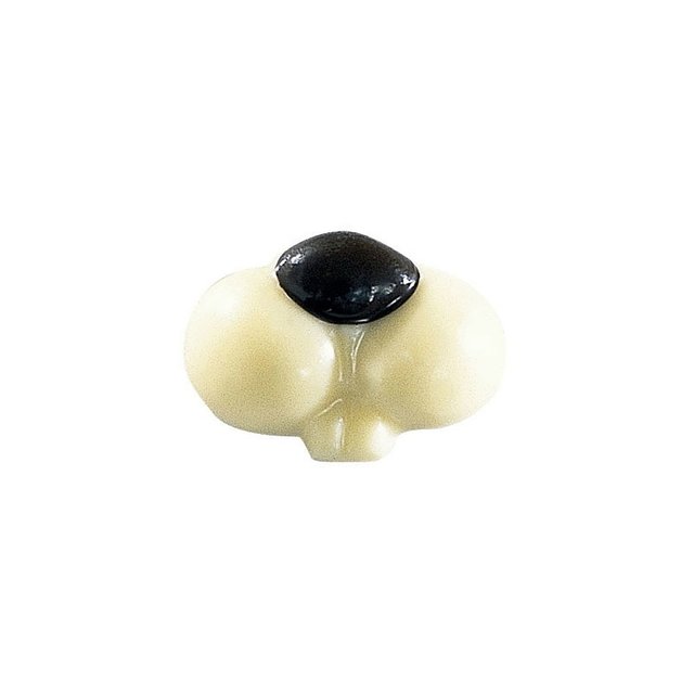 Obrázek produktu Čokoládový dekor králičí čumáčky bílá čokoláda 3cm 144ks PCB