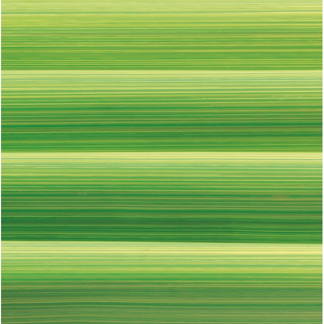 Obrázek produktu Transfer folie Le peigne d'Eddy - Zelené proužky 40x25cm 17ks PCB