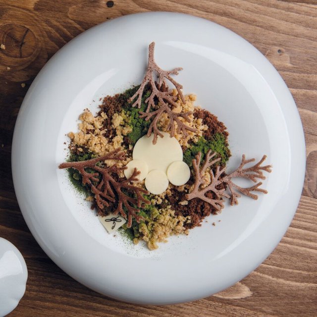 Obrázek produktu Forma silikon šedá: 30x20cm - VĚTVIČKA 10ks 2ml Pavoni