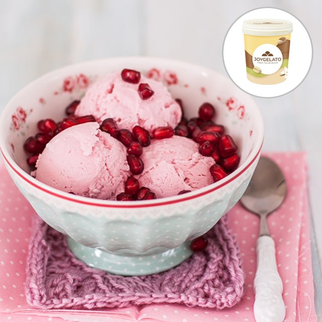 Obrázek produktu JOYPASTE MELAGRANA  (pasta granátové jablko) 6x1,2kg