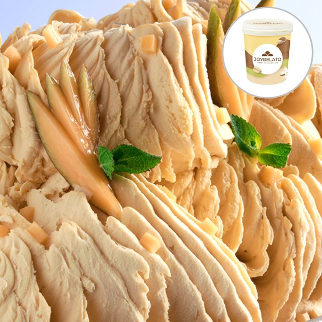 Obrázek produktu JOYPASTE MELONE  (pasta meloun žlutý) 6x1,2kg