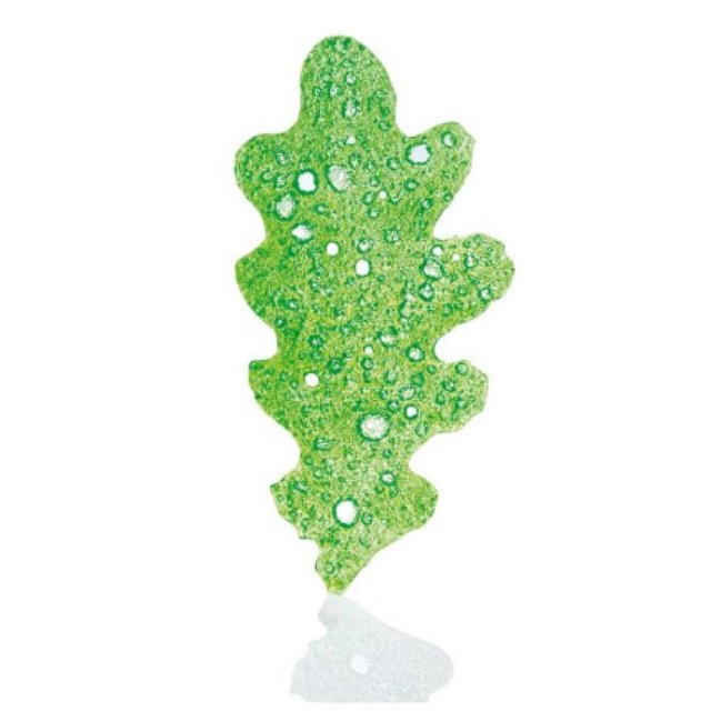 Obrázek produktu Čoko dekor lístky dubové zelené 7,8×3,9cm 32ks PCB