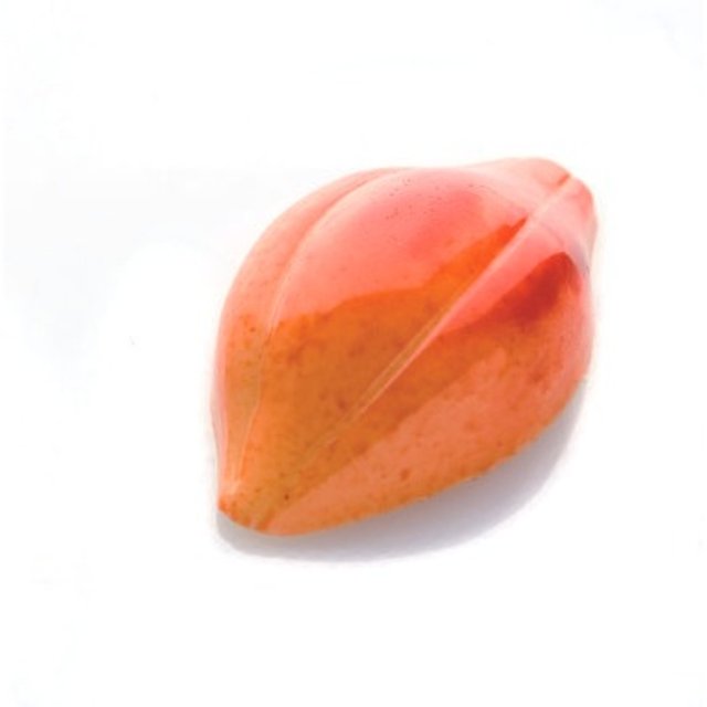 Obrázek produktu Forma na pralinky KAKAOVÝ BOB 4,7x2,6cm v.1,4cm 9g 24ks