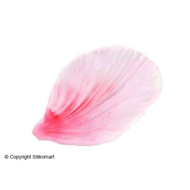 Obrázek produktu Forma silikon čirá: List okvětní 3D na cukrovou hmotu