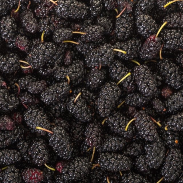 Obrázek produktu MRAŽ. MORUŠE 10kg