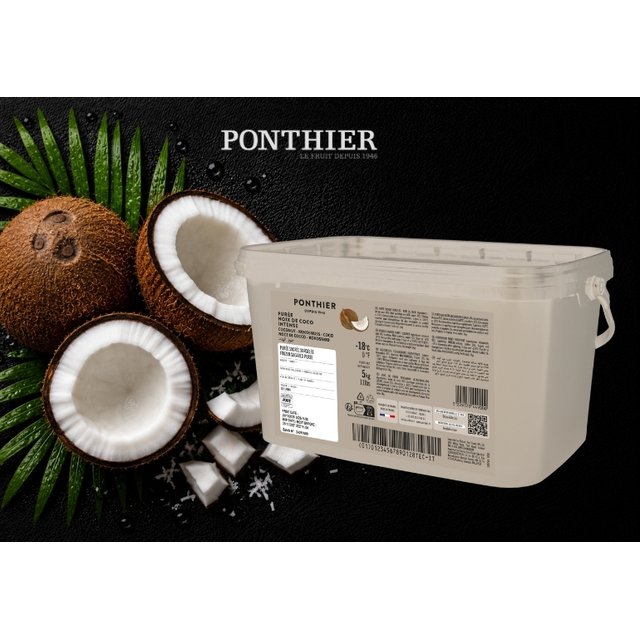 Obrázek produktu MRAŽENÉ PONTHIER pyré kokos Intense 5 kg