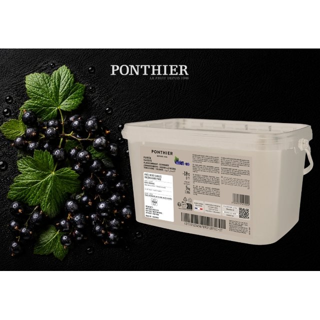 Obrázek produktu MRAŽENÉ PONTHIER pyré černý rybíz Noir de Bourgogne 5 kg