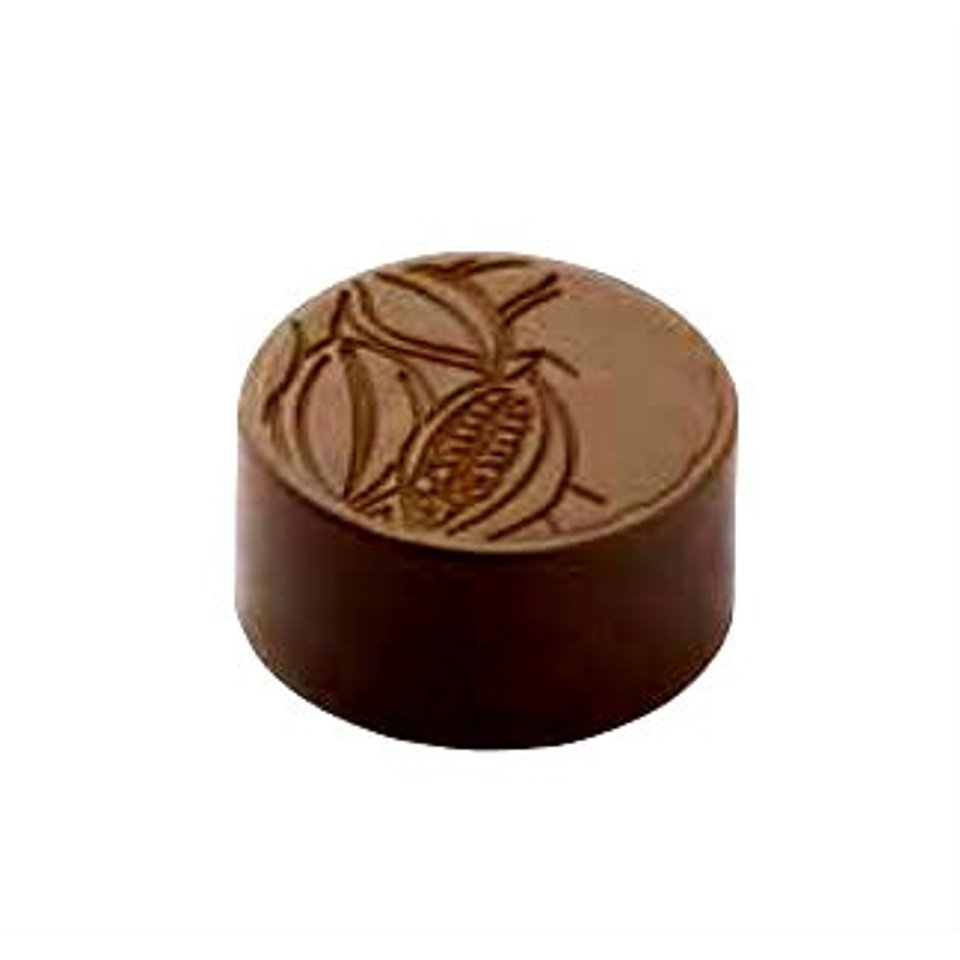 chocolat-form-cf0302-polycarbonate-chocolate-mold-round-cocoa-bean-28x13-mm-9-gr-3x8-cav-135x275x24mm-modern-shaped-molds.jpg